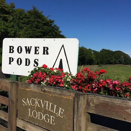 Отель Bower Pods Bowermadden Экстерьер фото